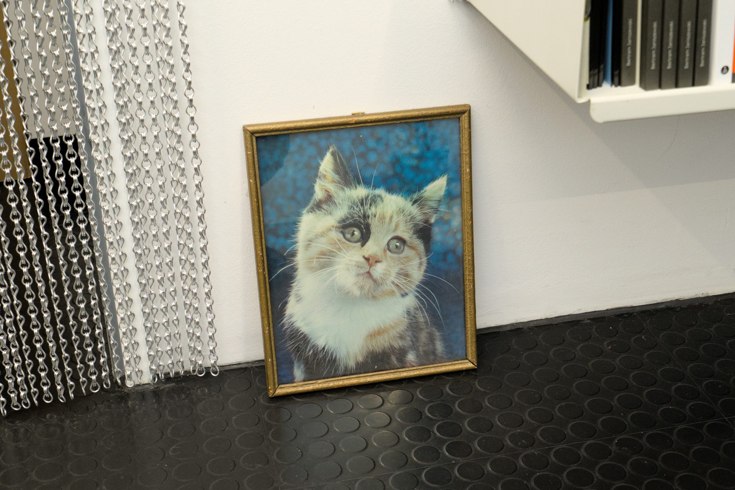 <br />
<b>Warning</b>:  Undefined variable $caption in <b>/homepages/15/d224896284/htdocs/wp-content/themes/HIT/single.php</b> on line <b>137</b><br />
